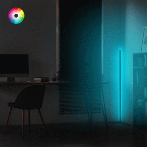 Φωτιστικό δαπέδου Esthetic  LED μαύρο 30x2x120εκ