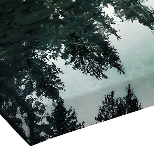 Πίνακας σε καμβά Siely  με ψηφιακή εκτύπωση 40x3x60εκ - Image 3