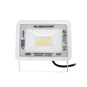 ATLAS 61415 Επαγγελματικός Προβολέας LED 30W 3450lm 120° AC 220-240V – Αδιάβροχος IP67 – Μ16 x Π2.5 x Υ12.5cm – Λευκό – Θερμό Λευκό 2700K – LUMILEDS Chips – TÜV Rheinland Certified – 5 Years Warranty