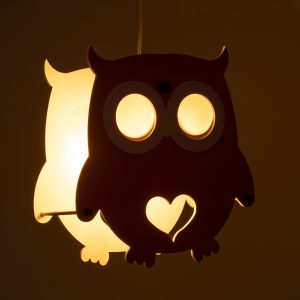 OWL 61576 Παιδικό Κρεμαστό Φωτιστικό Φιγούρα Μονόφωτο 1 x E27 IP20 Πολύχρωμο Πλαστικό – Μ29.5 x Π15.5 x Υ30.5cm