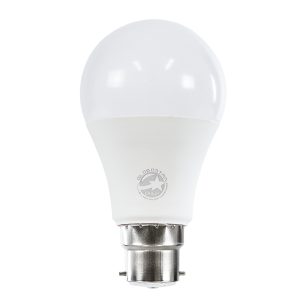 60051 Λάμπα LED B22 A60 Γλόμπος 10W 1000lm 360° AC 220-240V IP20 Φ6 x Υ11cm Ψυχρό Λευκό 6000K – 3 Χρόνια Εγγύηση