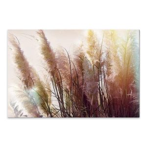 Πίνακας σε καμβά “Soft Pampas”  ψηφιακής εκτύπωσης 90x60x3εκ.