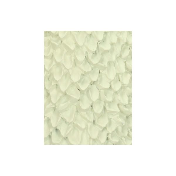 Βάζο  Ιβουάρ Polyresin 12.7x12.7x30.7cm - Image 4